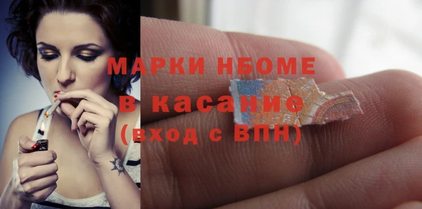 молекула духа Арсеньев