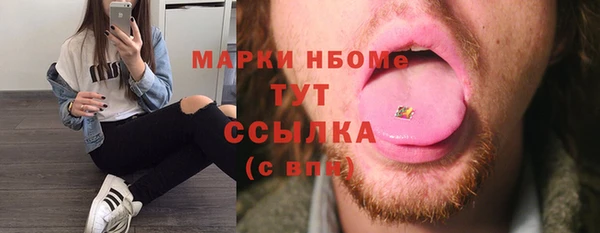 молекула духа Арсеньев