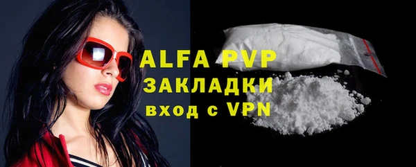 молекула духа Арсеньев