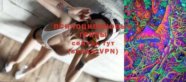молекула духа Арсеньев