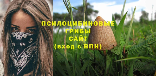 герыч Ладушкин