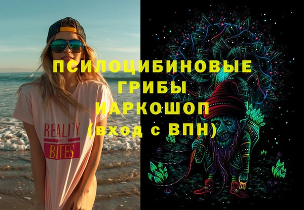 молекула духа Арсеньев