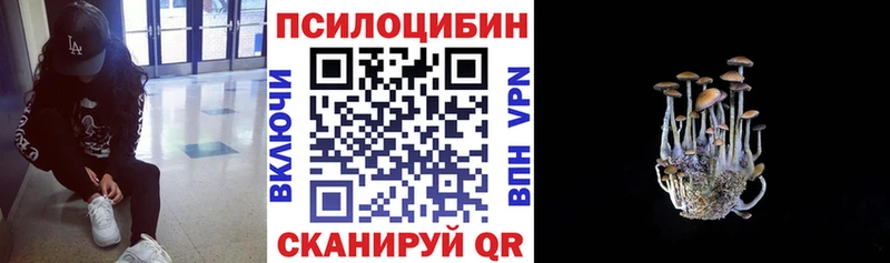 Псилоцибиновые грибы Psilocybine cubensis  Качканар 